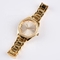 Elegant monol watches for lady's with various color DWG-R0107